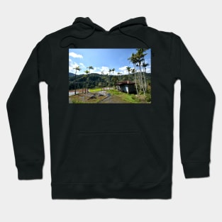 Rizières en terrasses Banaue, Philippines Hoodie